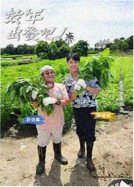 城市味觉地图 美食纪录片海报